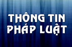 phap luat 24h