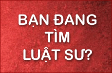 cong ty luat
